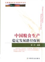 中国粮食生产稳定发展路径探析