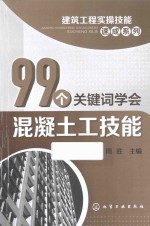 99个关键词学会混凝土工技能