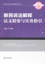 新民诉法解释 法义精要与实务指引 上