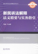 新民诉法解释 法义精要与实务指引 下