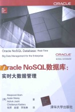 Oracle NoSQL数据库 实时大数据管理