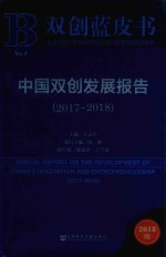 中国双创发展报告 2017-2018