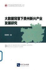 大数据背景下贵州新兴产业发展研究