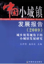 中国小城镇发展报告 城乡统筹视角下的小城镇 2009