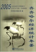 齐齐哈尔经济统计年鉴 2005 总第17期