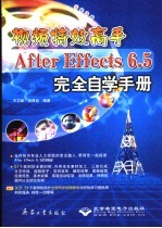 视频特效高手After Effects 6.5完全自学手册