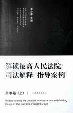 解读最高人民法院司法解释、指导案例 刑事卷 上