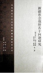 新疆社会保障若干问题研究