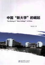 中国“新大学”的崛起