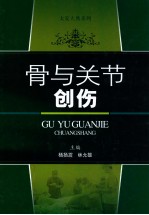 太安大典系列 骨与关节创伤