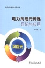 风险元传递理论专著系列  电力风险元传递理论与应用