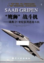 “鹰狮”战斗机 瑞典21世纪多用途战斗机