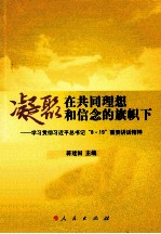 凝聚在共同理想和信念的旗帜下 学习贯彻习近平总书记“8 19”重要讲话精神