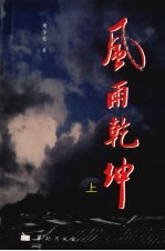 风雨乾坤  上