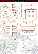 线描洋兰