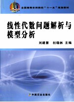 线性代数问题解析与模型分析