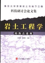 岩土工程学的热点透视 鲁东大学首届岩土与地下工程科技研讨会论文集