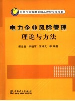 电力企业风险管理理论与方法