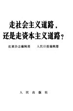 走社会主义道路，还是走资本主义道路？