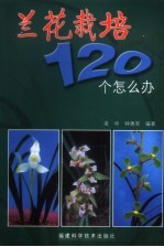 兰花栽培120个怎么办