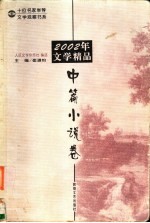 2002年文学精品 中篇小说卷