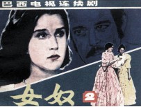 女奴  第2册