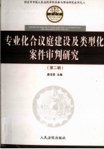 专业化合议庭建设及类型化案件审判研究 第2辑