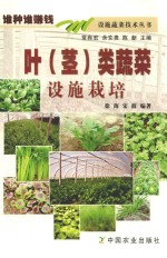 叶（茎）类蔬菜设施栽培