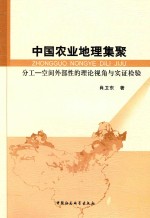 中国农业地理集聚 分工-空间外部性的理论视角与实证检验