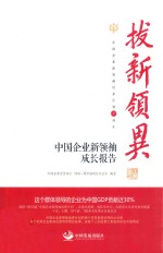 拔新领异 中国企业新领袖成长报告