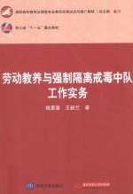 劳动教养与强制隔离戒毒中队工作实务