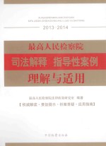 最高人民检察院司法解释 指导性案例理解与适用 权威解读·要旨提示·析案答疑·应用指南