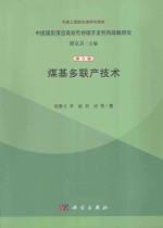 中国煤炭清洁高效可持续开发利用战略研究 第9卷 煤基多联产技术