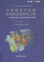 中国百万千瓦级核电自主化依托工程-岭澳核电站二期工程建设与创新 自主化卷 下