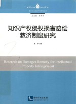 厦门大学知识产权研究丛书 知识产权侵权损害赔偿救济制度研究