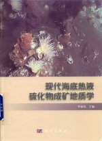 现代海底热液硫化物成矿地质学