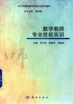 数学教师专业技能实训