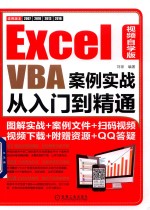 Excel VBA案例实战从入门到精通  视频自学版