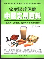 家庭医疗保健中医实用百科