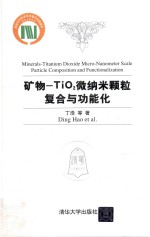 矿物 TiO2微纳米颗粒复合与功能化