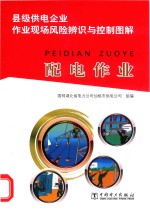 县级供电企业作业现场风险辨识与控制图解 配电作业