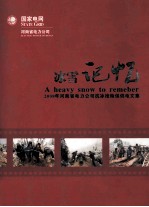 冰雪记忆 2008年河南省电力公司抗冰抢险保供电文集