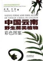 中国云南野生蕨类植物彩色图鉴 Native ferns and fern allies of Ynnan China in colour eng