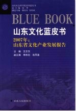 2007年：山东省文化产业发展报告