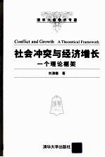 社会冲突与经济增长  一个理论框架