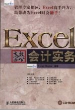 Excel高效办公  会计实务