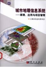 城市地理信息系统  原理、应用与项目管理