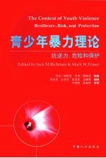 青少年暴力理论 抗逆力、危险和保护 The context of youth violence Resilience， risk， and protection eng