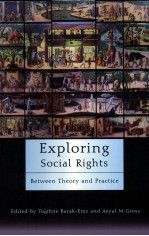 exploring social rights between theory and practice