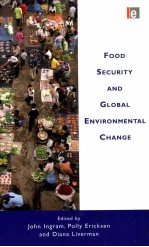 food security and global environmental change